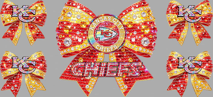 16oz team-NFL 3135